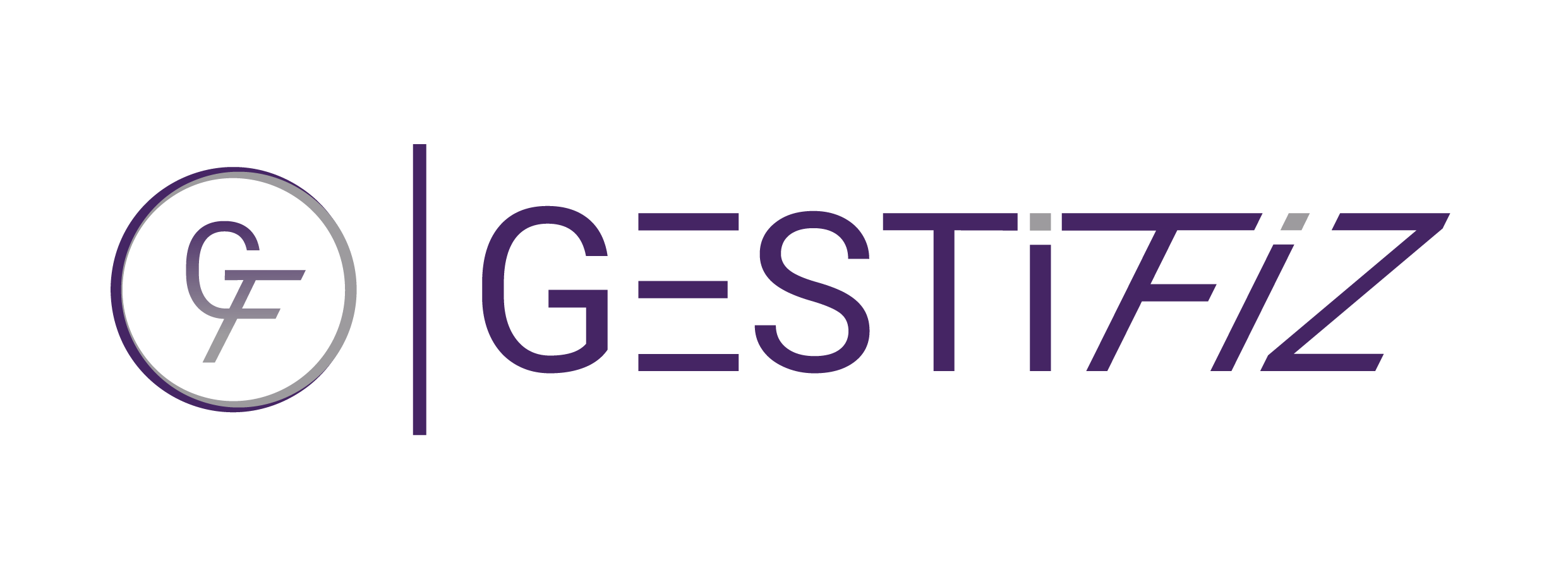 Gestifiz